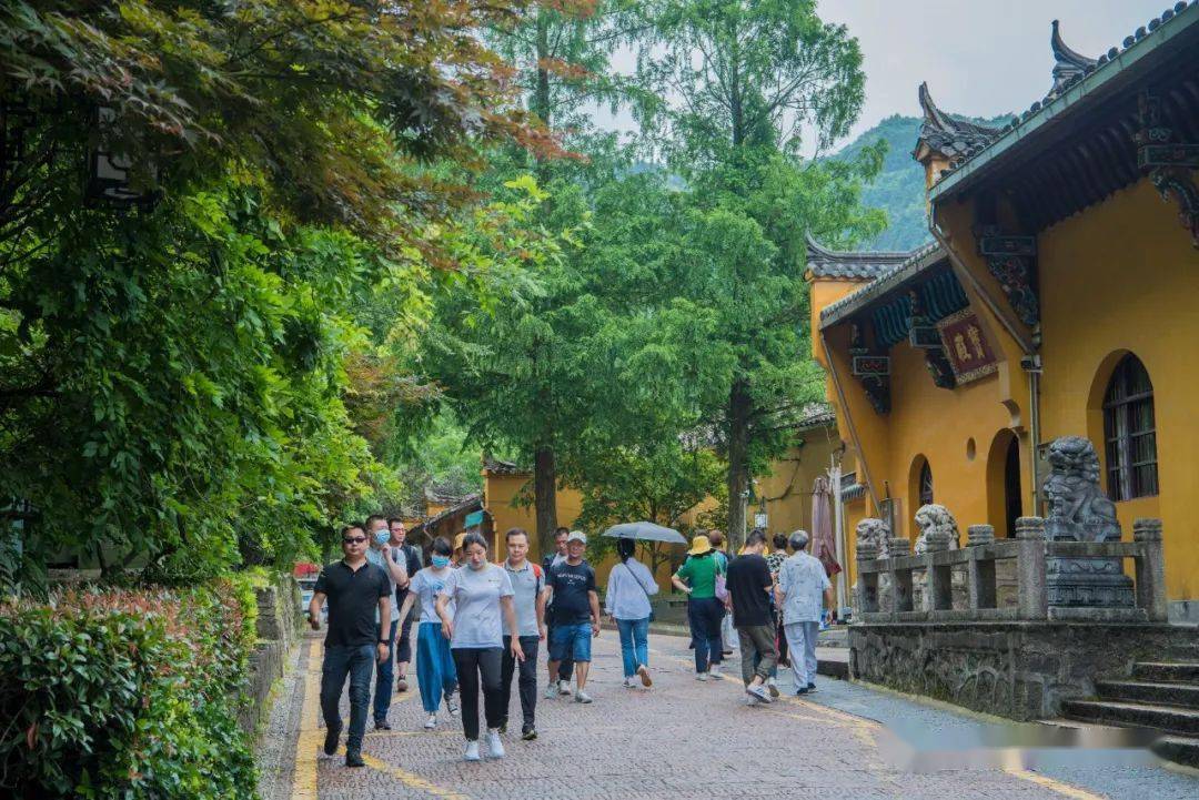 九華山最新消息