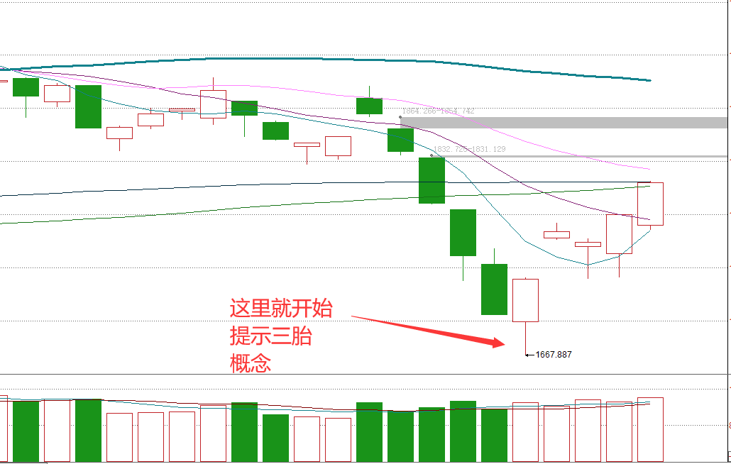 2024年11月9日 第54頁