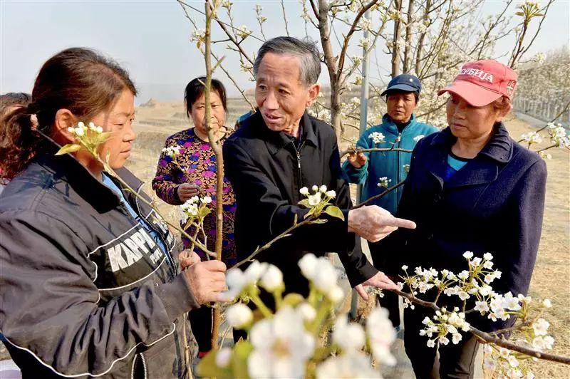 阜平縣城最新規(guī)劃圖，塑造未來城市的藍圖