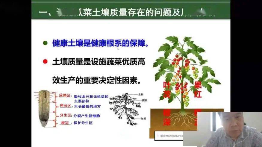 最新招聘果樹(shù)技術(shù)人員，掌握果樹(shù)科學(xué)，助力綠色產(chǎn)業(yè)發(fā)展