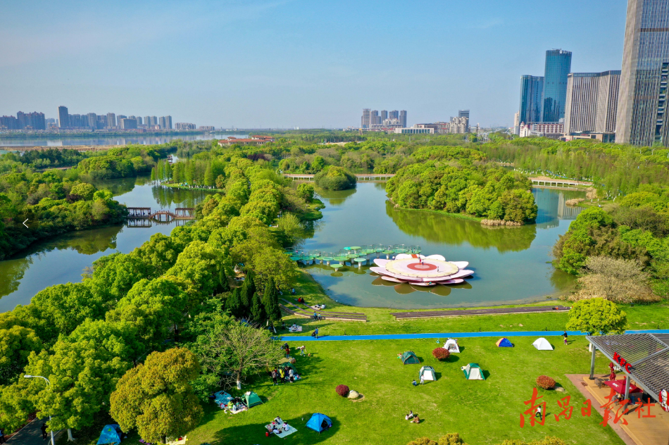 圍嶺公園最新消息，打造城市綠色新名片