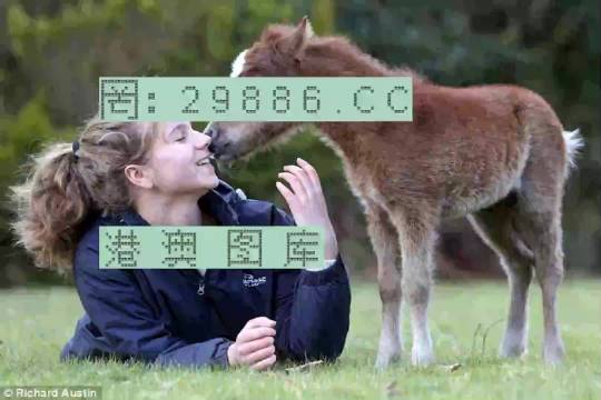 澳門平特一肖，揭秘預(yù)測(cè)準(zhǔn)確率背后的真相