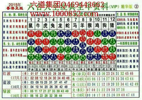 揭秘2024十二生肖與彩票49碼表的神秘聯(lián)系