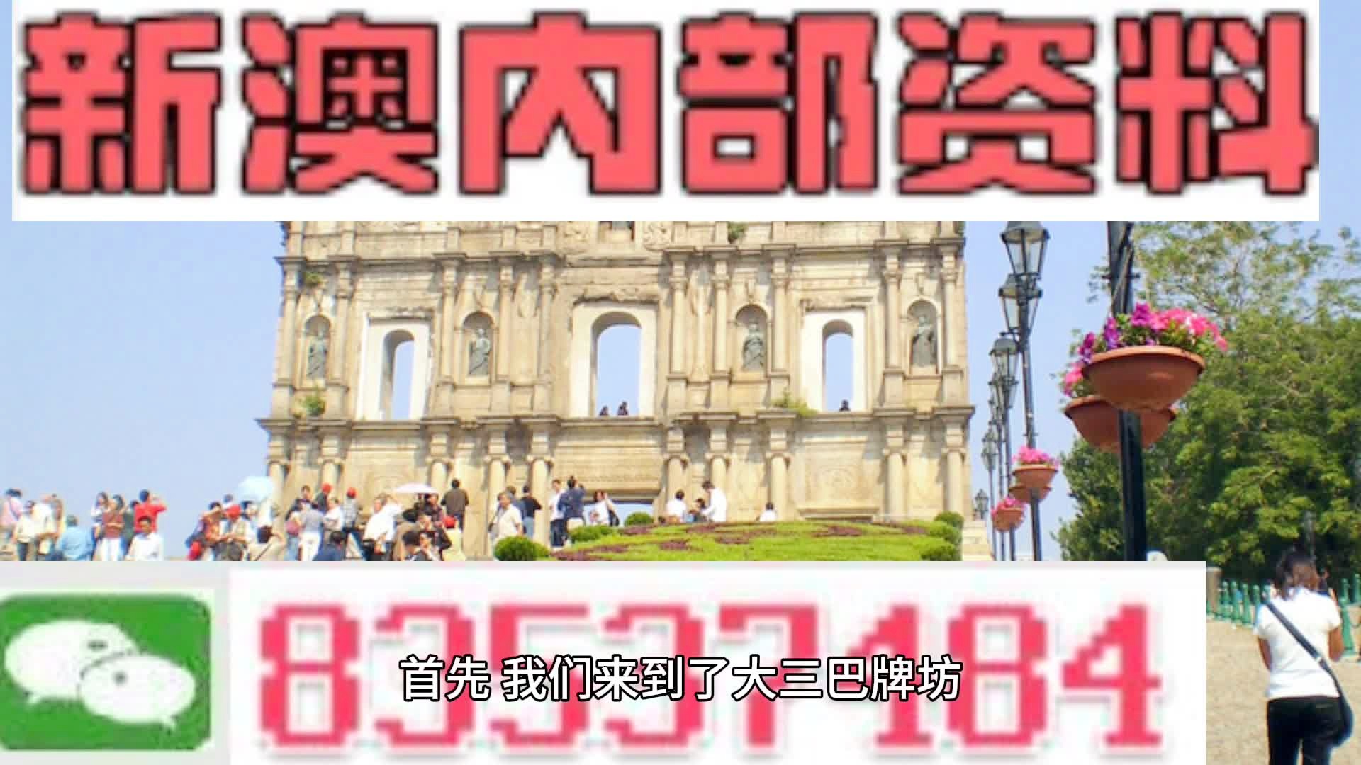 揭秘2024新澳三期必出一肖，探尋彩票背后的秘密