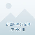 衡水小區(qū)房?jī)r(jià)最新排名，市場(chǎng)分析與趨勢(shì)預(yù)測(cè)