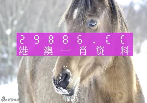 澳門精準(zhǔn)一肖一碼100%，揭示背后的犯罪問題