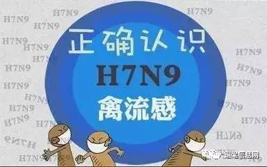 香港H7N9最新消息2017，流感監(jiān)測與防控進展